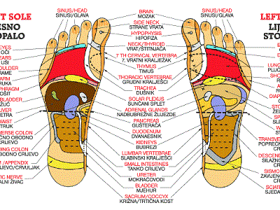 reflexology-feet1.gif